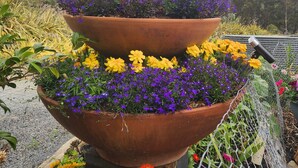A Buddha statue with a large head and a serene expression, surrounded by tiered flower pots with vibrant flowers. - Private Two Bedroom unit located on 63 acres Stunning views. 
Beautiful Sunroom. (Mountain River)