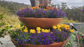 DĂ©tail de lâextĂ©rieur