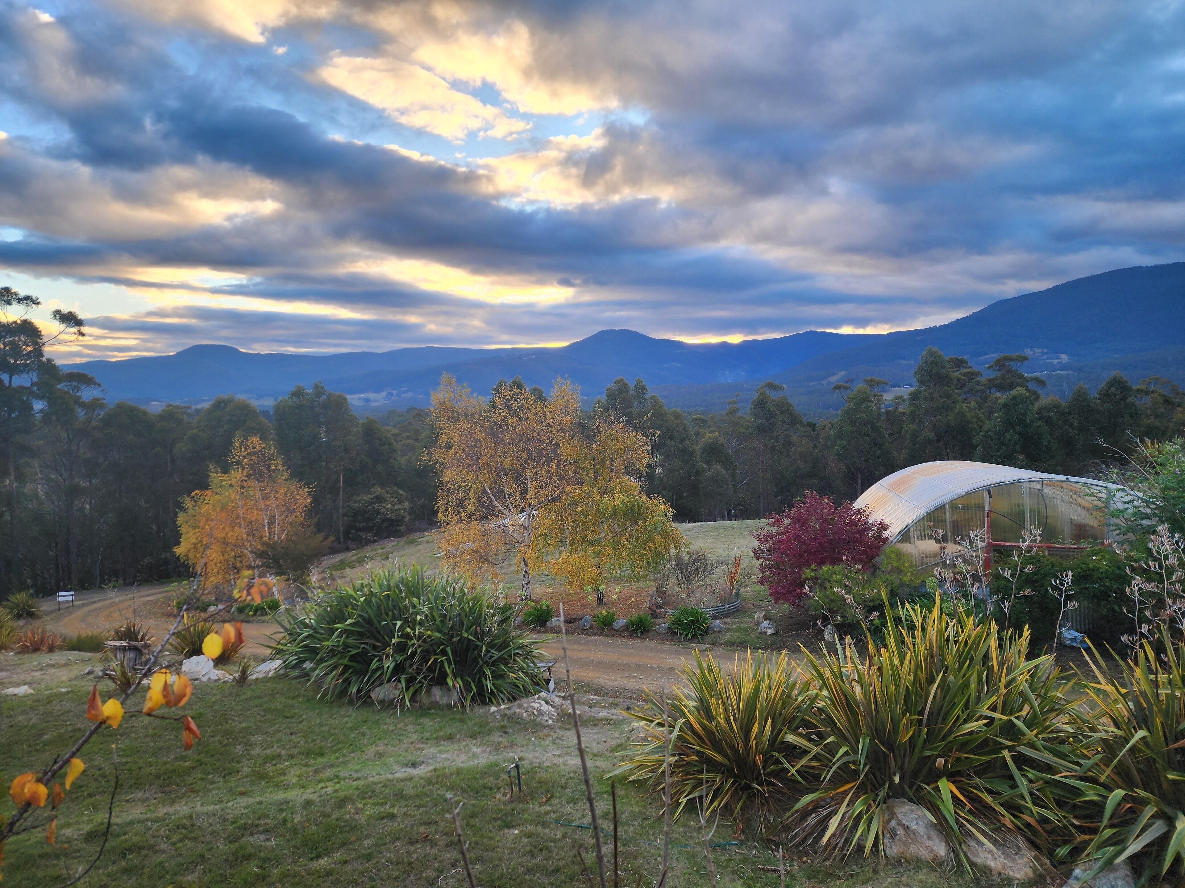 A garden with a variety of plants and trees, a greenhouse, and a view of distant mountains under a cloudy sky.