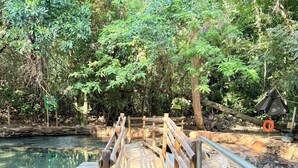 Eine Steinbrücke führt über einen Fluss, umgeben von dichtem Wald und einer kleinen Holzhütte.