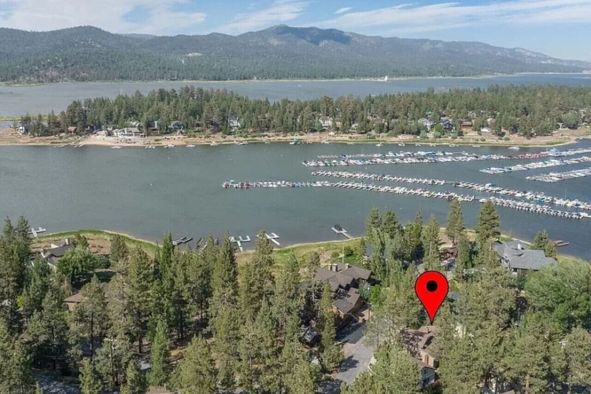 Imagen de perfil del propietario o de la propietaria