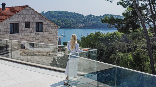 テラス / パティオ