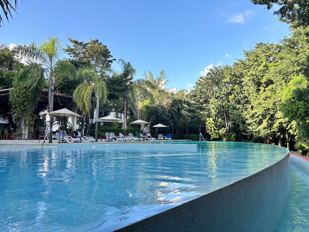 Une piscine entourée d’une végétation luxuriante, avec des chaises longues et des parasols.