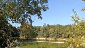 A serene lake surrounded by dense foliage and a clear blue sky.