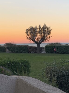 Property grounds - Un Rêve à la mer (Saintes-Maries-de-la-Mer)