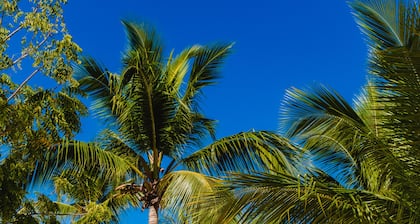 Playa Nueva Romana