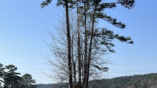 Un monumento de madera con una placa, en un entorno natural con árboles y un lago al fondo.