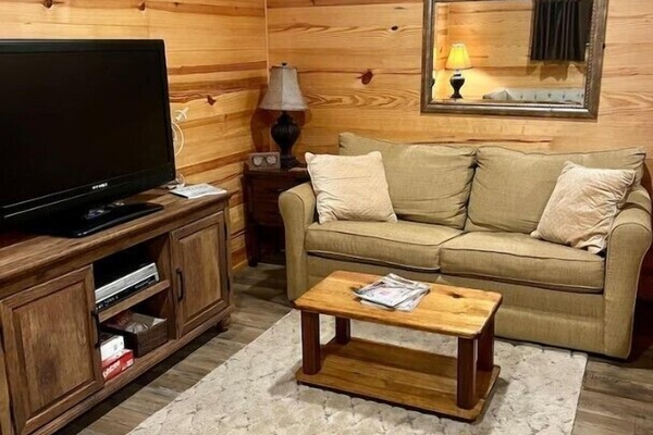 Smart-tv, dvd-spelare och ett filmbibliotek