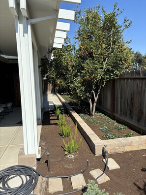 Property grounds - Fig Studio
Studio apartment walking distance from Fig Garden Village. (Fresno)