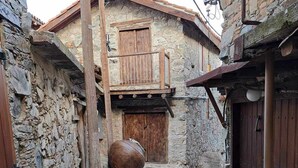 A narrow stone-paved alleyway with rustic stone walls and wooden doors. - PITHARIA (Askas)