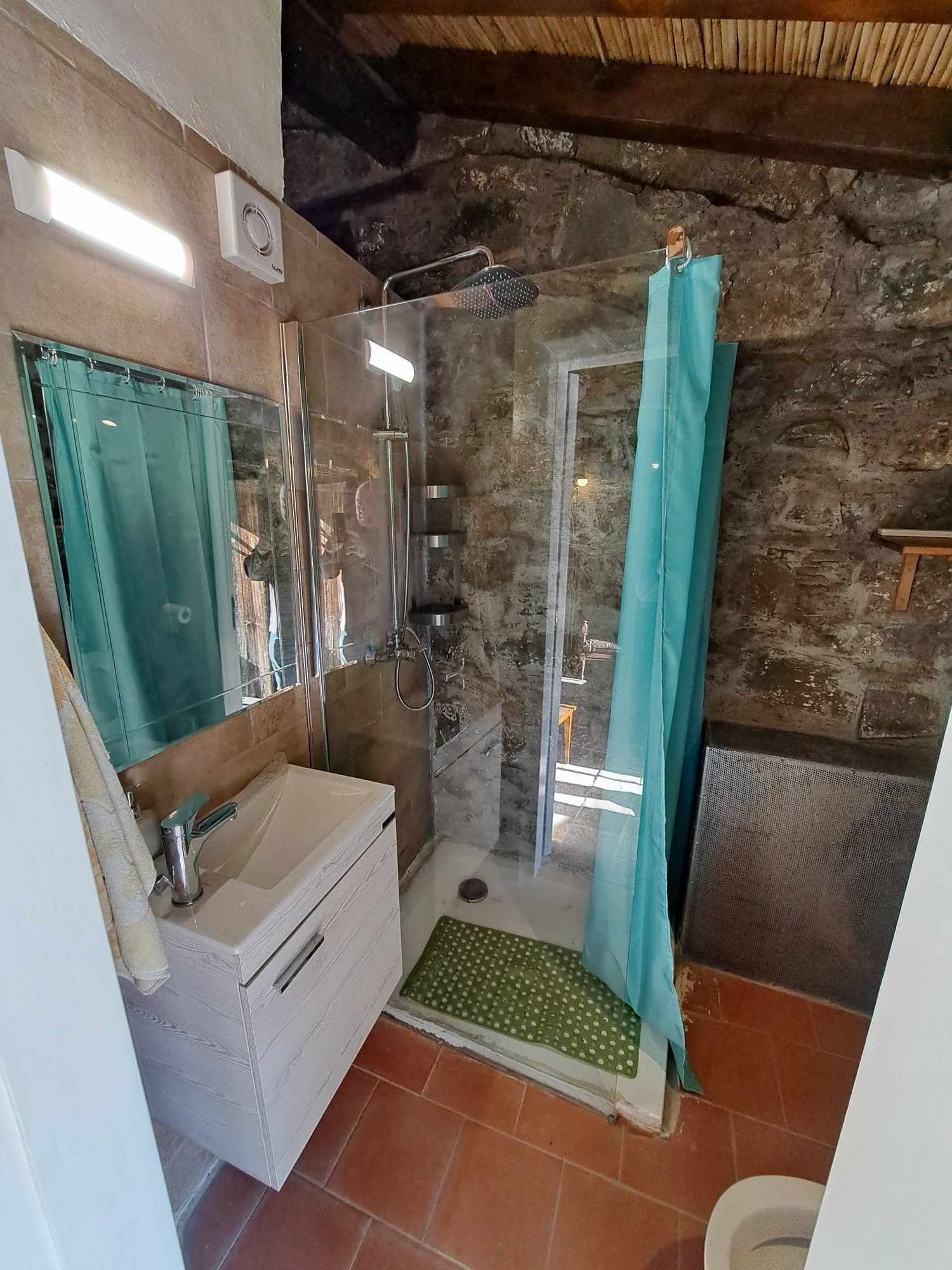 Ein Badezimmer mit Steinwand, einer Dusche mit Glastür, einem Waschbecken und einem Spiegel.