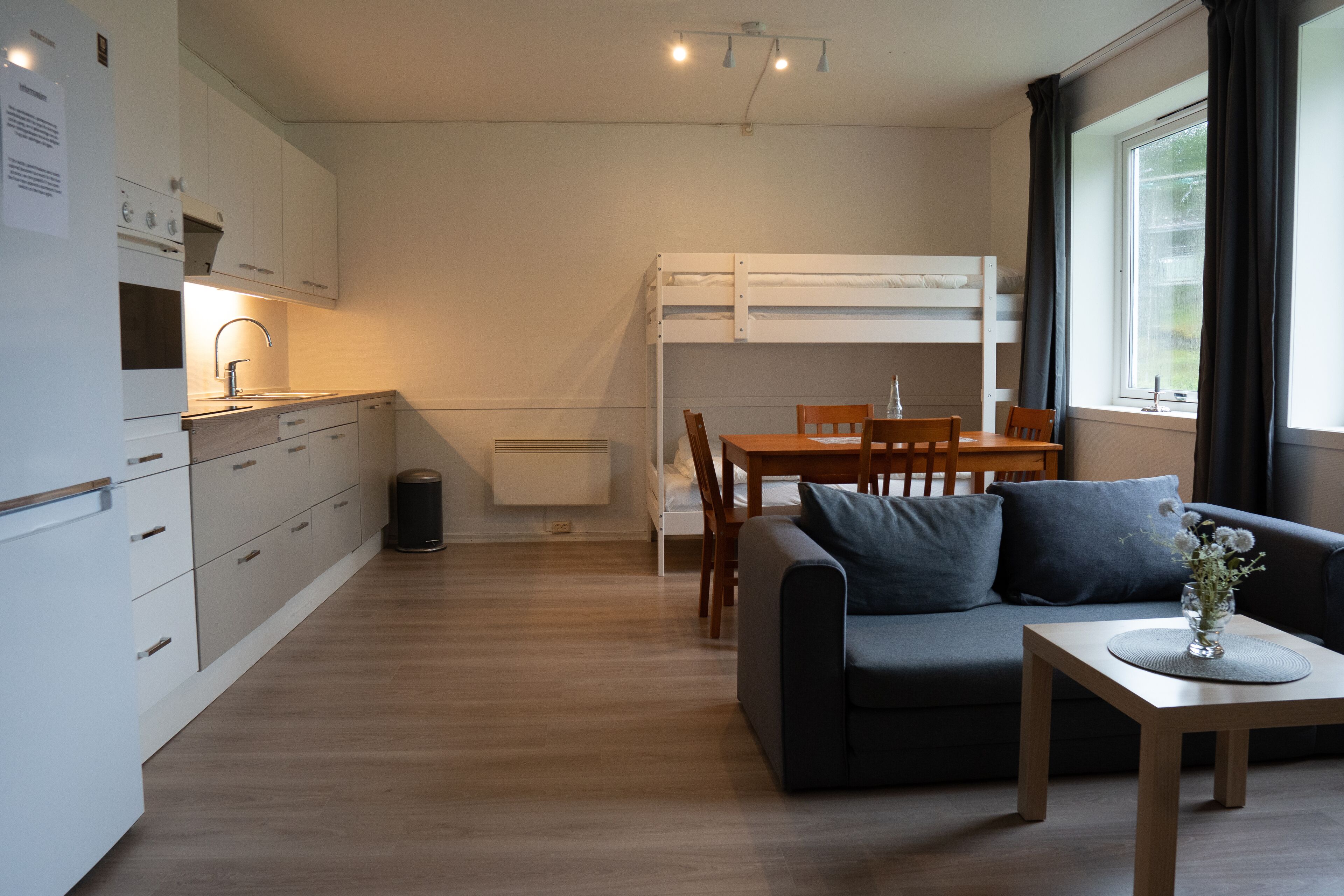 A compact living space with a kitchenette, a bunk bed, a dining area, and a seating area with a table and sofa.