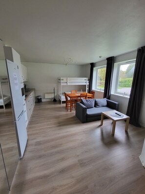 A modern, open-plan living space with a kitchenette, dining area, and seating area.