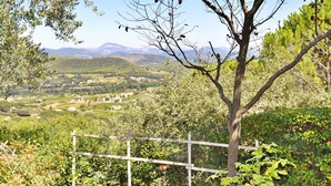 Viñedo con cerca de madera y vista a montañas distantes.