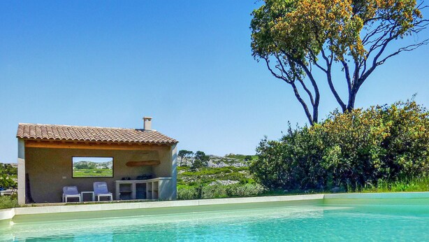 Un espace aménagé au bord de la piscine, avec un petit bâtiment, une piscine à l’eau d’un bleu limpide et un grand arbre.