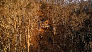 A cabin surrounded by dense forest. - Mountain Retreat, Sunset Views, and 20 Minutes to Asheville! (Swannanoa)