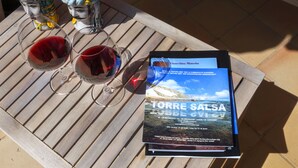 Et træbord med to vinglas og en brochure med titlen "TORRE SALSA".