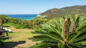 A garden with a palm tree and a view of the sea and hills. - Villa Matilde Dream Oasis (Villasimius)