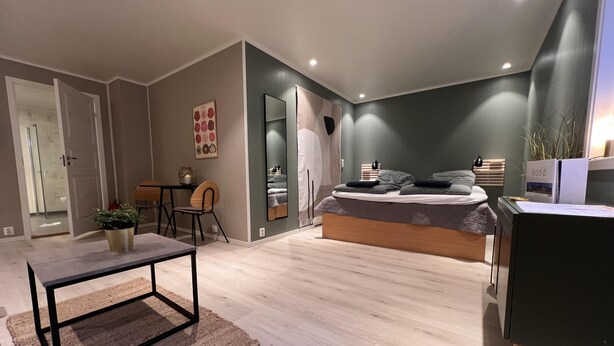 A modern bedroom with a bed, bedside table, and a desk. There is a chair and a small table with a plant. The room has a wooden floor and a green accent wall. - Brand new and Private Studio Apartment! (Bodo)