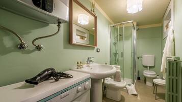 Shower, hair dryer, bidet