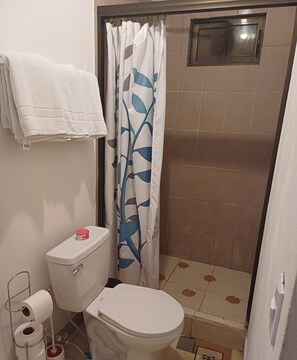 タオル、石鹸、シャンプー、トイレットペーパー