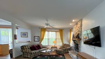 Smart TV, fireplace, DVD player, books