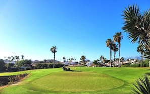 Golf - Blue Sky Home, Amarilla Golf (Amarilla Golf)