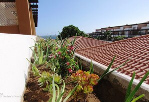 Property grounds - Blue Sky Home, Amarilla Golf (Amarilla Golf)