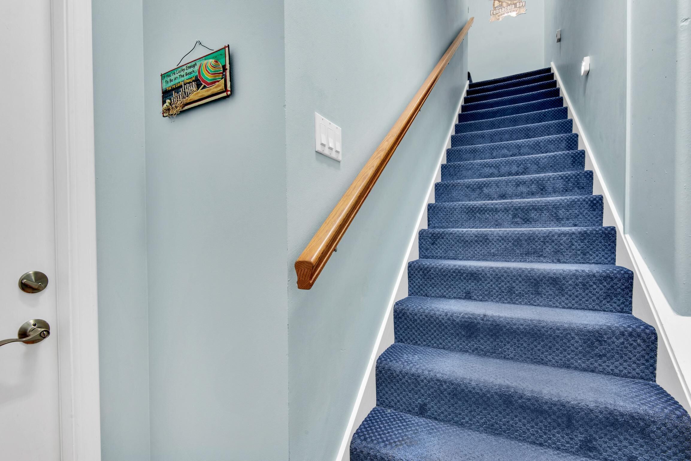A staircase with blue carpeted steps and a wooden handrail.