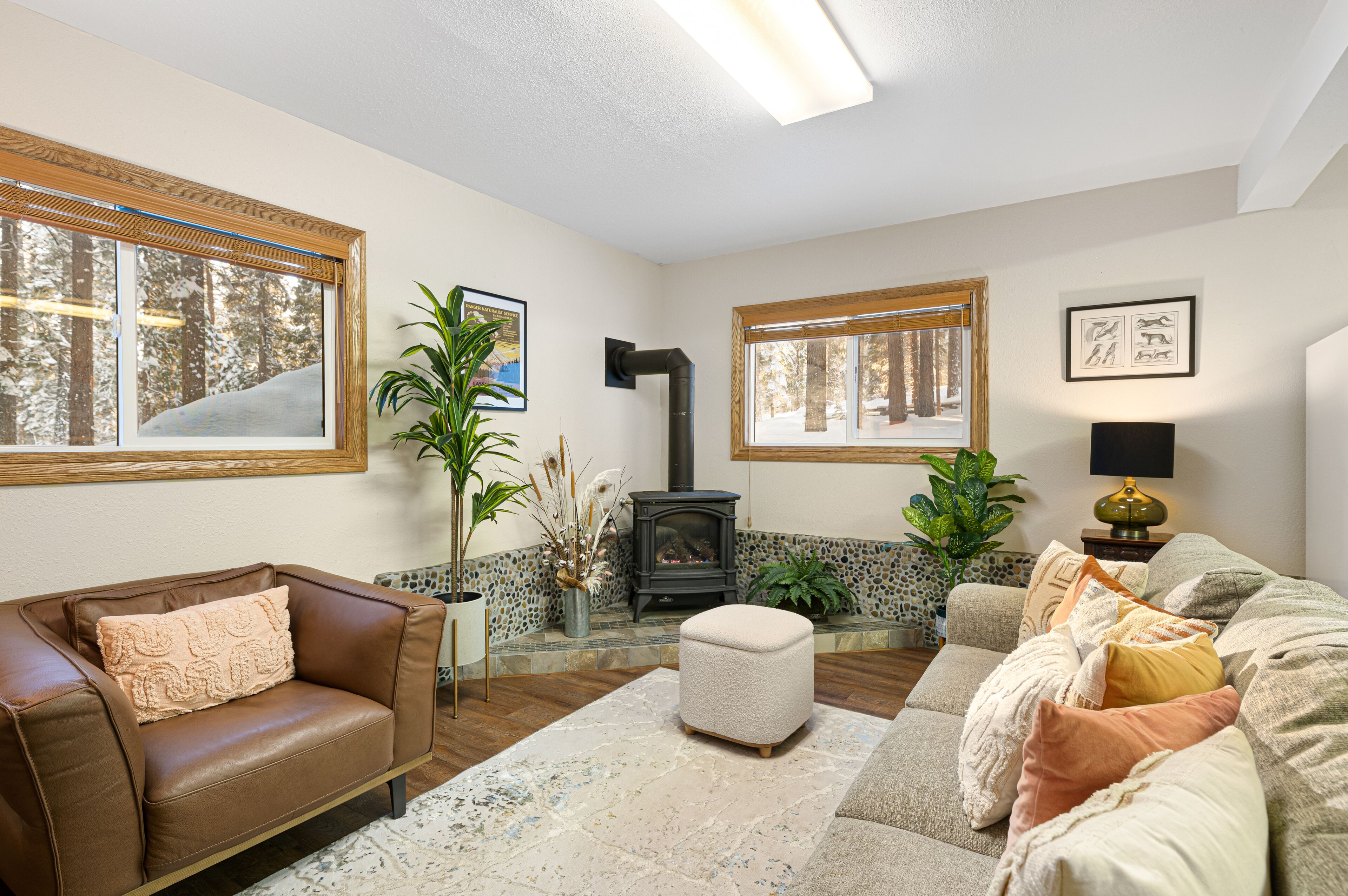 Smart TV, fireplace, books, video library