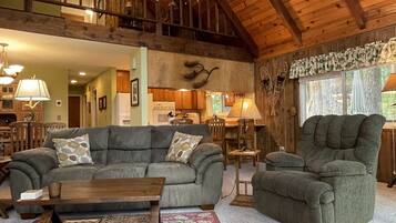 Smart TV, fireplace, books, video library