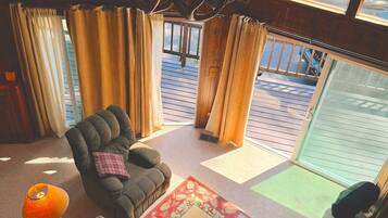 Smart TV, fireplace, books, video library