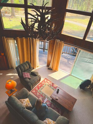 Smart TV, fireplace, books, video library