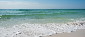 Sand Dollar W-103