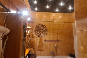 Douche, sĂšche-cheveux, shampoing, papier toilette