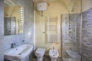 Shower, hair dryer, bidet, towels