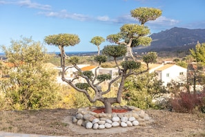 Property grounds - Villa 'La Bastide Des Albères' with Sea View, Private Pool and Wi-Fi (Villelongue-Dels-Monts)
