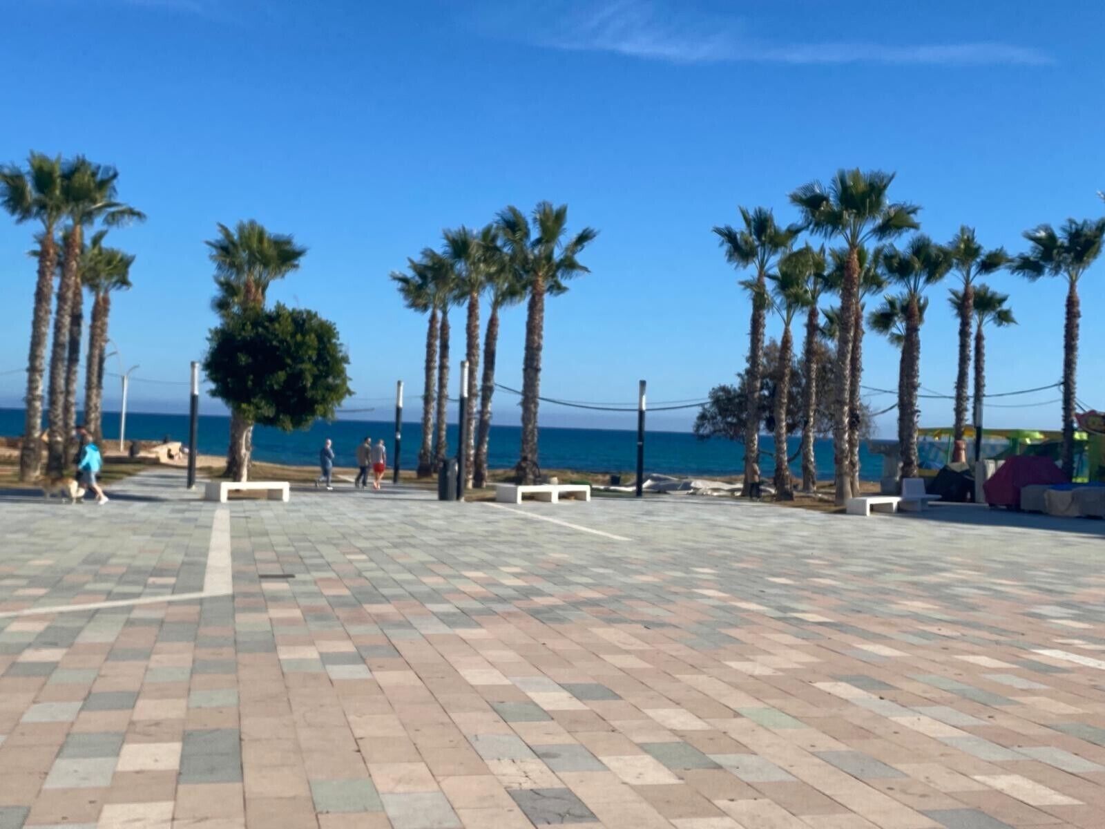 Un'area esterna pavimentata con palme e panchine, affacciata su una distesa d'acqua.