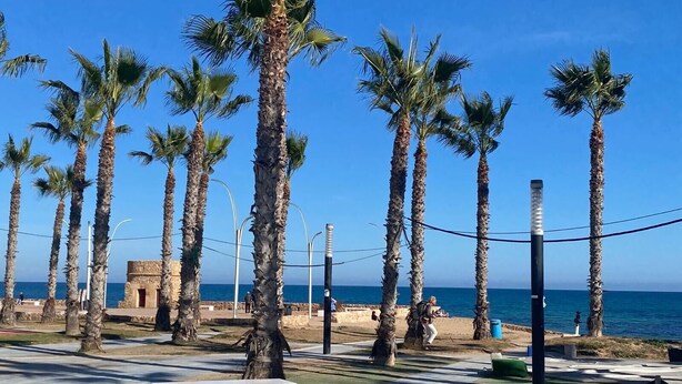 Une promenade en bord de mer, bordée de palmiers, avec une structure en pierre et un banc.