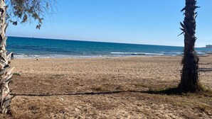 Une plage avec un ciel dégagé, un rivage sablonneux et un palmier.