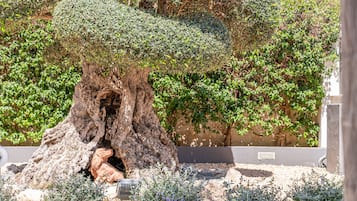 Detalle exterior