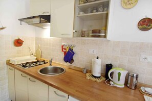 Fridge, stovetop, cookware/dishes/utensils