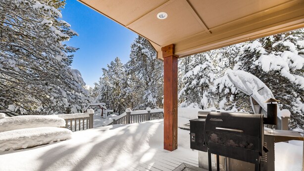 Eine überdachte Terrasse im Freien mit einem Grill, umgeben von schneebedeckten Bäumen.