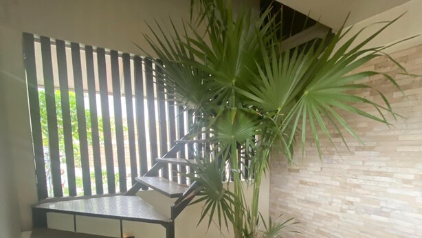 Hallway - Hotelito´s (Santa María Huatulco)