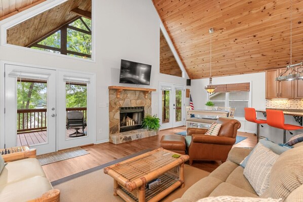 Smart TV, fireplace, books