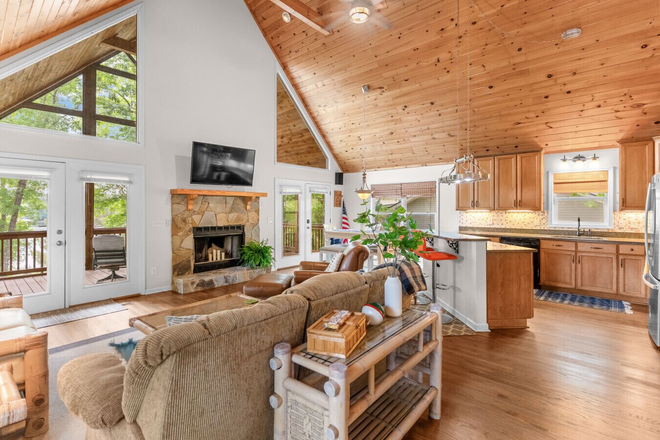 Smart-tv, pejs, bøger