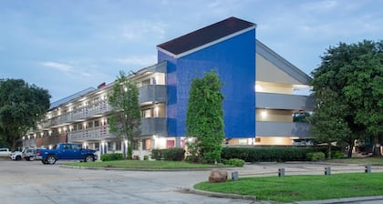 Modern Studio with King Bed and Queen Sofa Sleeper In Central Baton Rouge