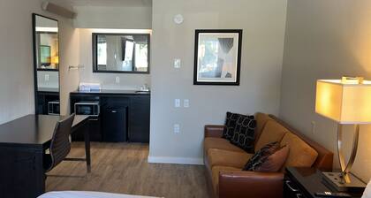 Modern Studio with King Bed and Queen Sofa Sleeper In Central Baton Rouge