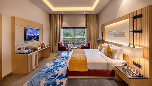 A hotel room with a bed, TV, desk, and a view of greenery outside.