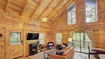 Smart TV, fireplace, books